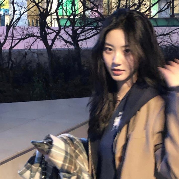复仇歼敌记